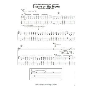 Shame On The Moon