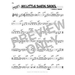 My Little Suede Shoes