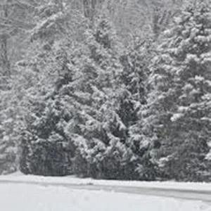 It's Snow Wonder