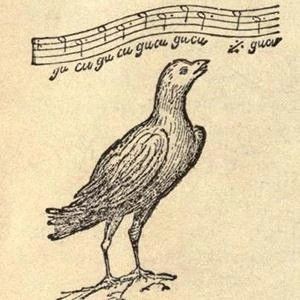 The Cuckoo