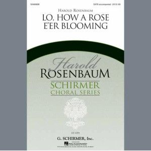Lo, How A Rose E''er Blooming