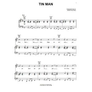 Tin Man