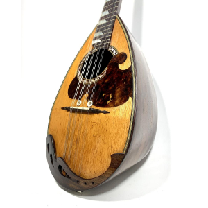 Raffaele Calace 21 bis Mandolin from 1914