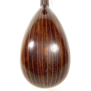 Raffaele Calace 21 bis Mandolin from 1914