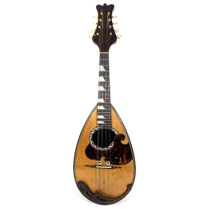 Raffaele Calace 21 bis Mandolin from 1914