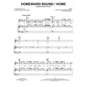 Homeward Bound / Home