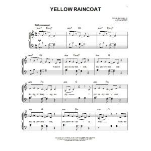 Yellow Raincoat