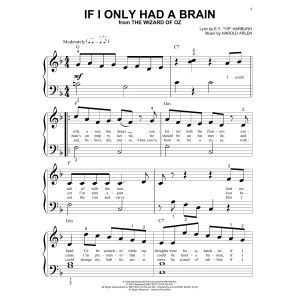 If I Only Had A Brain