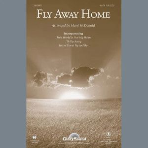 Fly Away Home - Violin