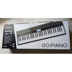 The Roland GO-61P GO-Piano