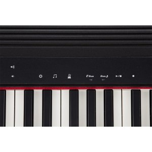Roland GO-61P GO-Piano