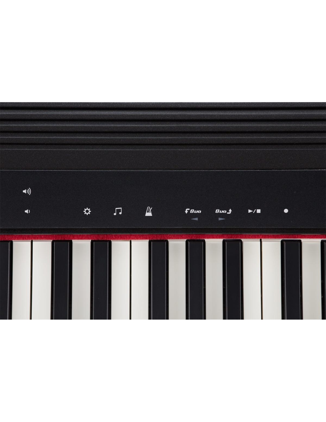 Roland Go proteggi 61P