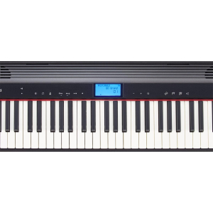 Roland GO-61P