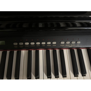 Delson Concerto 8877