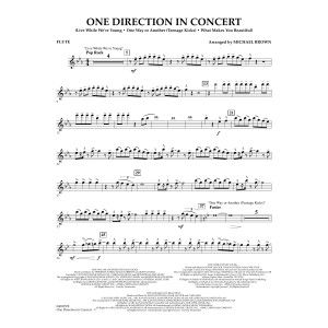 One Direction In Concert - Flute