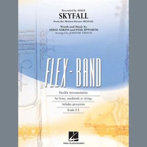 Skyfall - Pt.1 - Flute