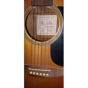 Jim harley électro-acoustique