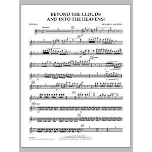 Beyond the Clouds and Into the Heavens! - Piccolo