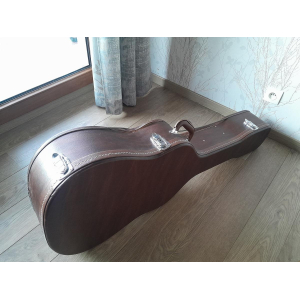 Hohner Acoustic Guitar