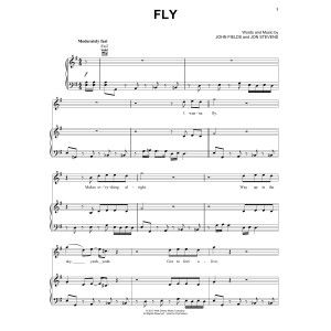 Fly