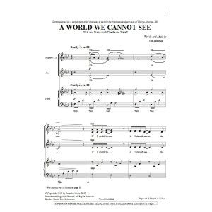 A World We Cannot See