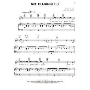 Mr. Bojangles