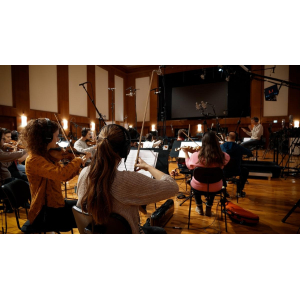 VSL Synchron Duality Strings (Regular) - Bibliothèque Standard