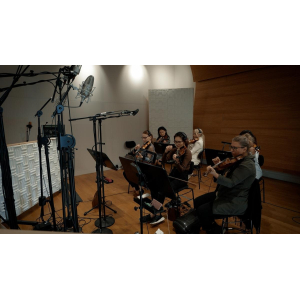 VSL Synchron Duality Strings (Regular) - Bibliothèque Complète