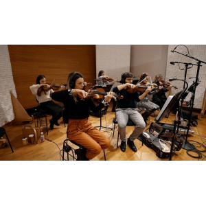 VSL Synchron Duality Strings (Regular) - Complete Library