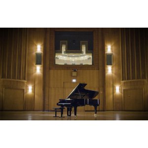 VSL Education Offer - Synchron Pianos Bundle Standard