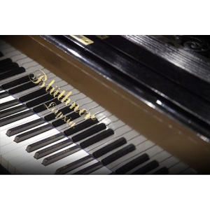 VSL Education Offer - Synchron Pianos Bundle Standard