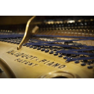 VSL Ofrece Educación - Paquete de Pianos Synchron Standard