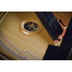 VSL Education Offer - Synchron Pianos Bundle Standard