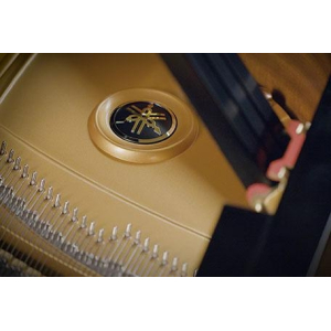 VSL Synchron Pianos Bundle Standard Library