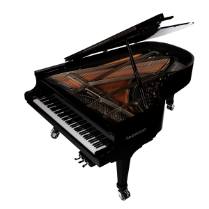 Ravenscroft® 220 VI Lite