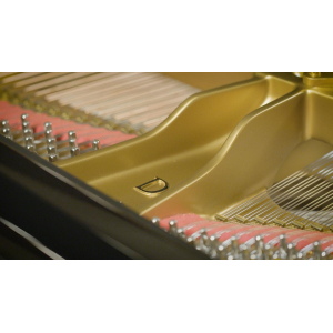 VSL Concert D-274 - Standard Library