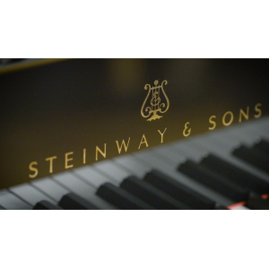 VSL Concierto D-274 - Biblioteca completa