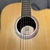 Lag Spring Guitar