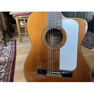 Takamine Classical Guitar
