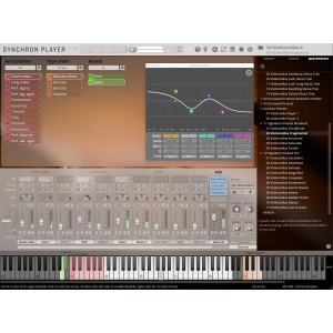 VSL Offre Education - Synchron Duality Strings (virtuoso) Standard