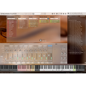 VSL Synchron Duality Strings (virtuoso) upgrade