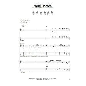 Wild Horses
