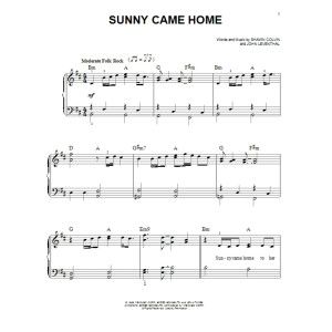 Sunny Came Home
