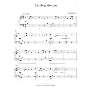 Ladybug Morning