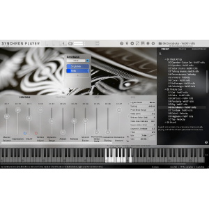 VSL Synchron World Percussion Standard