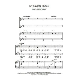 My Favorite Things (from The Sound Of Music)