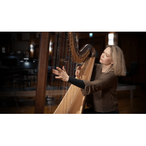 VSL Education Offer - Synchron Harp Upgrade