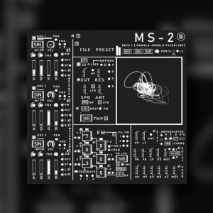 MS-2
