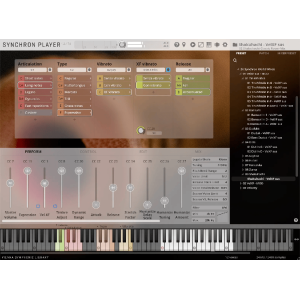 VSL Synchron World Winds Standard
