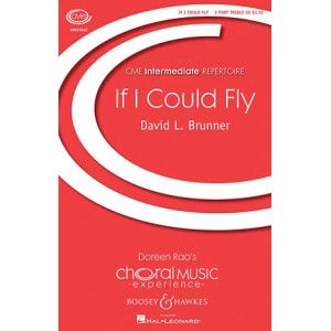 If I Could Fly